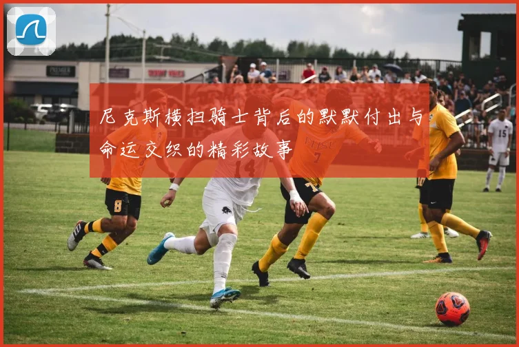 尼克斯横扫骑士背后的默默付出与命运交织的精彩故事